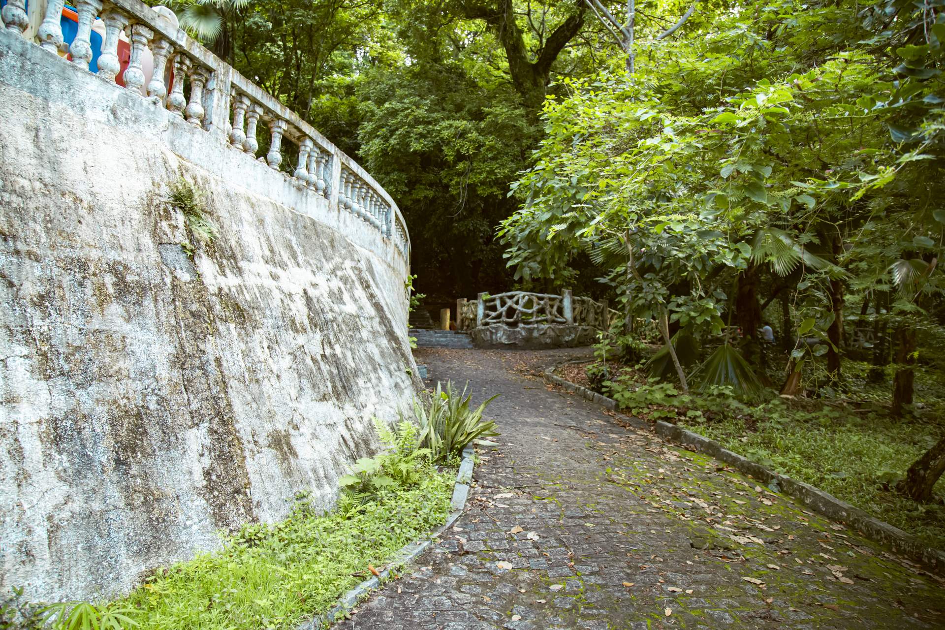 Parque Arruda Câmara