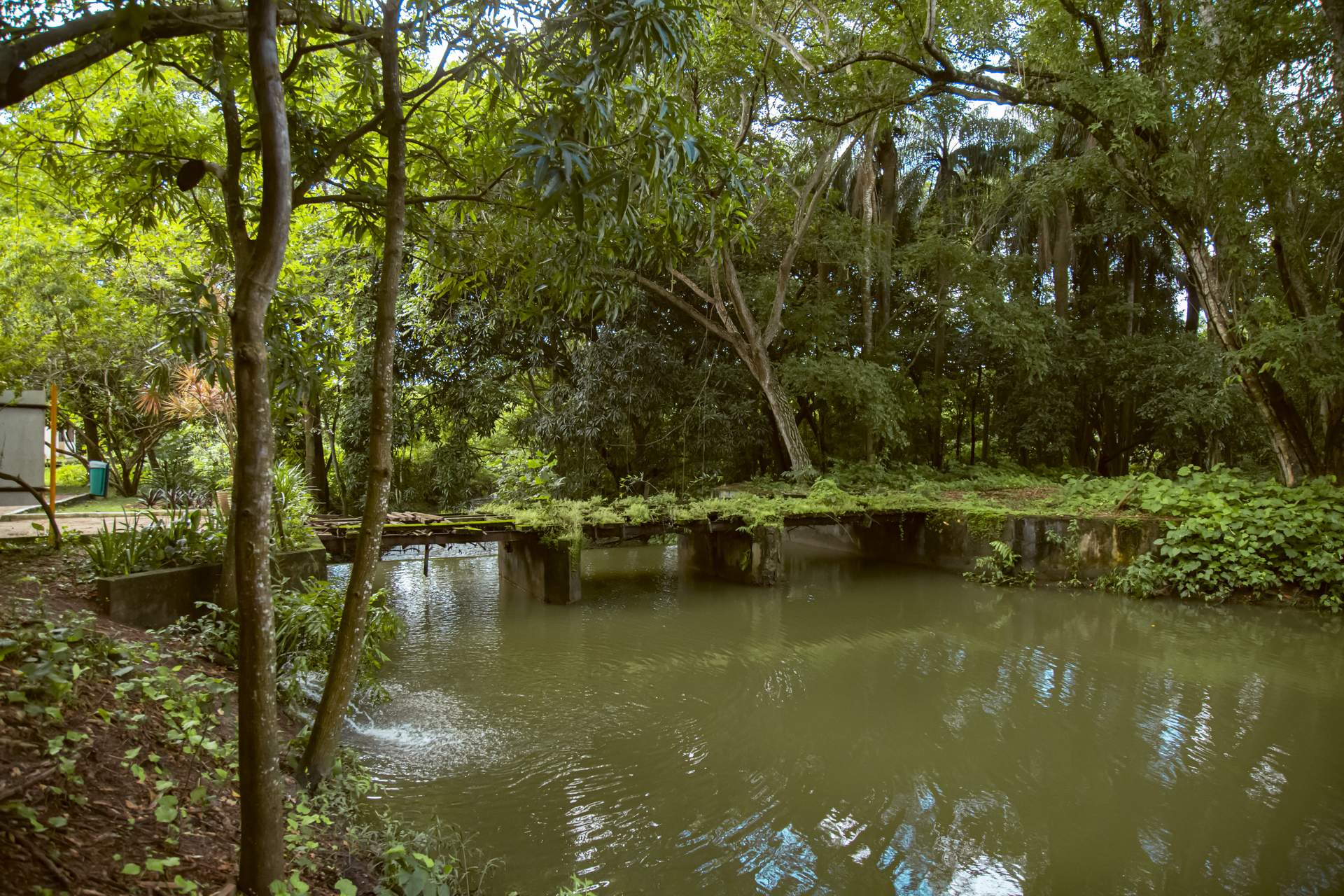 Jardim Botânico